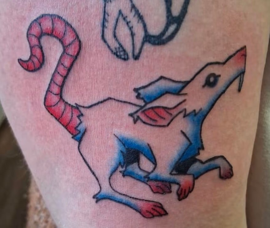 Color neo-traditional tattoo of a stylized running creature with a red segmented tail and blue shading by Leni B. at Fargo Tattoo in Fargo, North Dakota