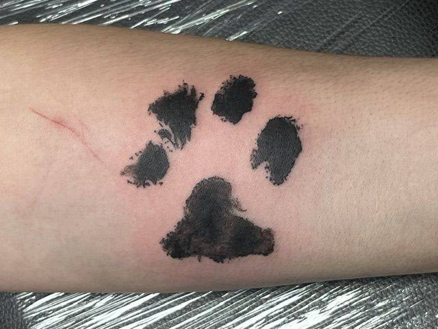 Real paw print memorial forearm tattoo by Shawn Lowe at Fargo Tattoo in Fargo, North Dakota