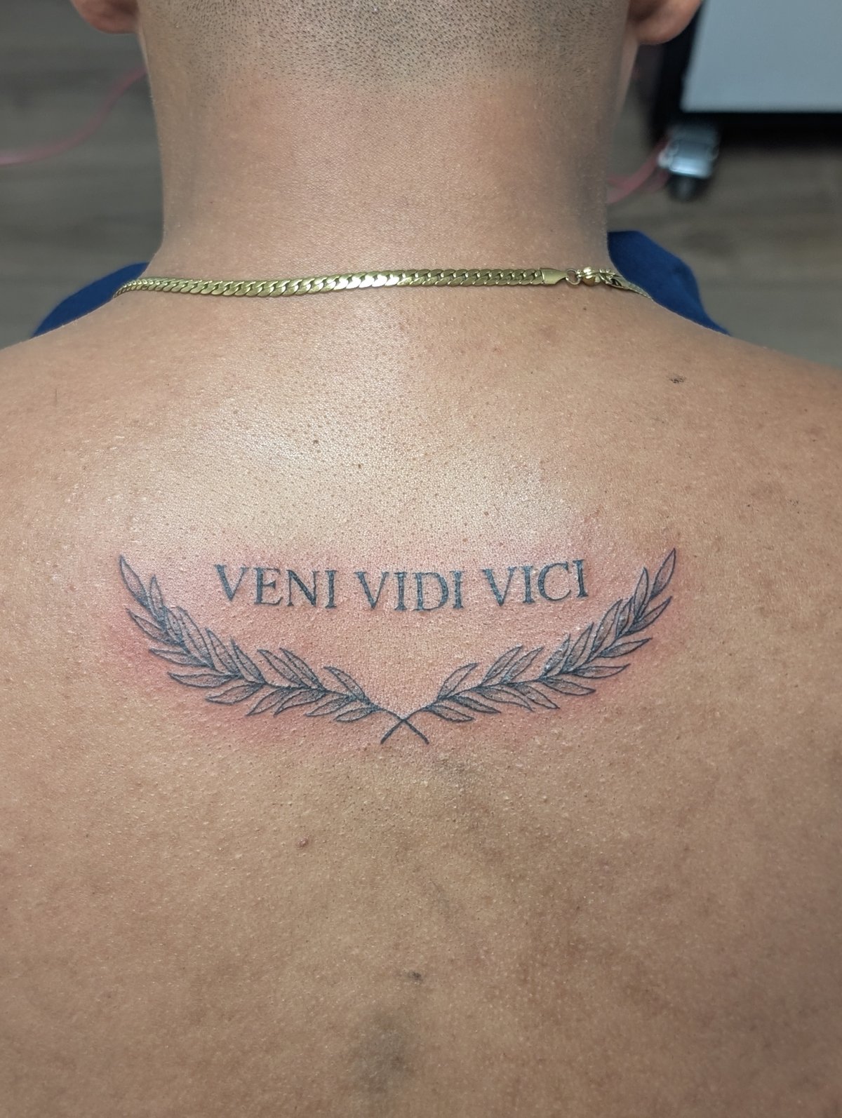 Fine line Veni Vidi Vici tattoo with laurel branches across the upper back by Shawn Lowe at Fargo Tattoo in Fargo, North Dakota